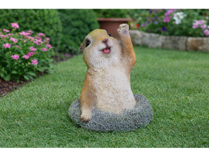 Meerkat