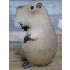 Peace Sign Capybara