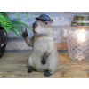 Thumb Up Capybara