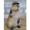 Thumb Up Capybara