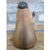 Thumb Up Capybara