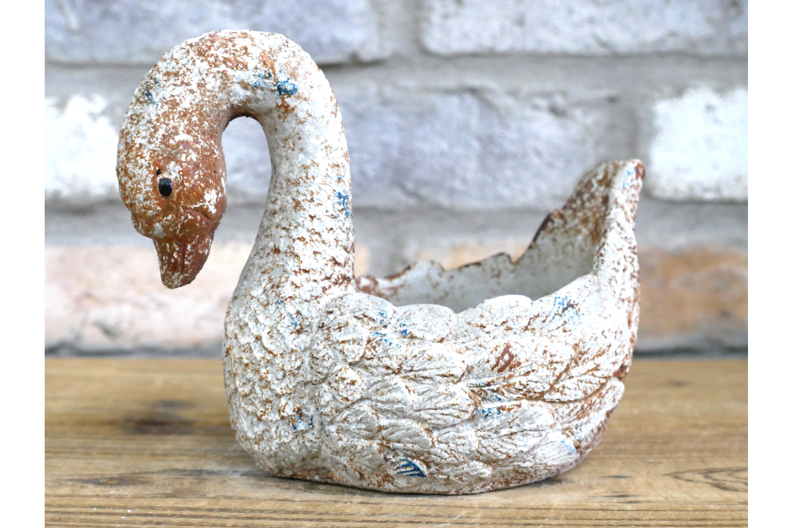Swan