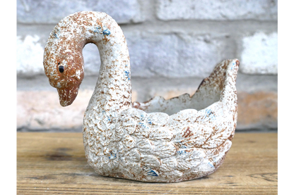 Swan