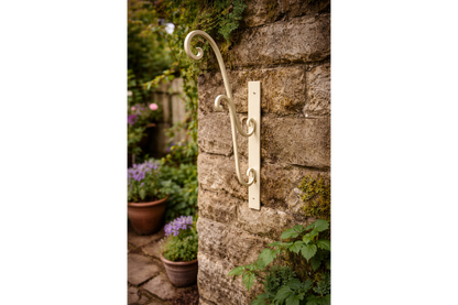 Cream Bracket