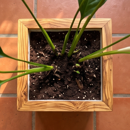 Olive Wood Handmade Wooden Planter with Tiles/Indoor and Outdoor Flower Box/Home and Garden