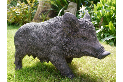 Pig