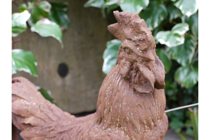 Cockerel (Sm/Rusty)