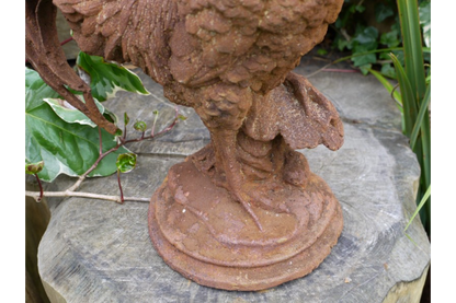 Cockerel (Sm/Rusty)