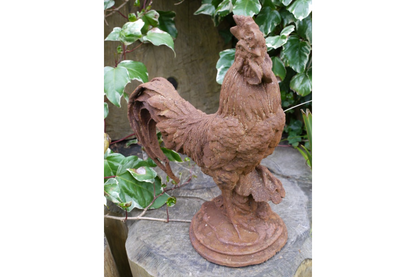 Cockerel (Sm/Rusty)