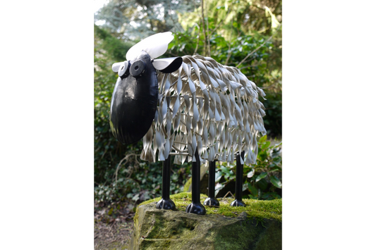 Sheep (Medium)