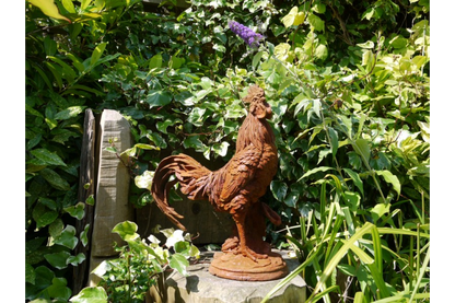 Cockerel (LG/Rusty) 2821