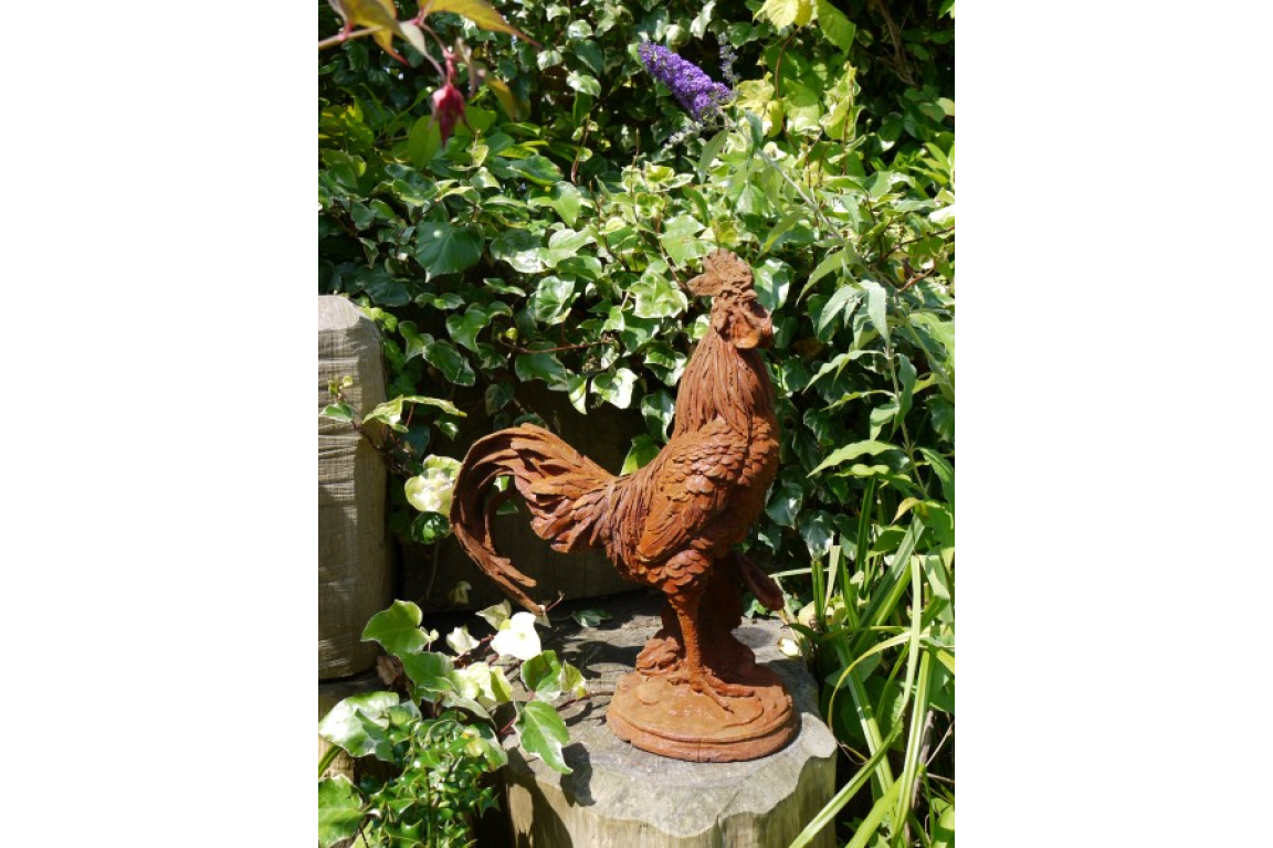 Cockerel (LG/Rusty) 2821
