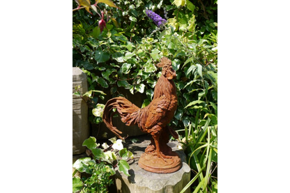 Cockerel (LG/Rusty) 2821