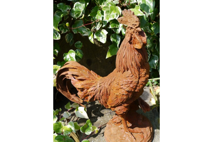 Cockerel (LG/Rusty) 2821