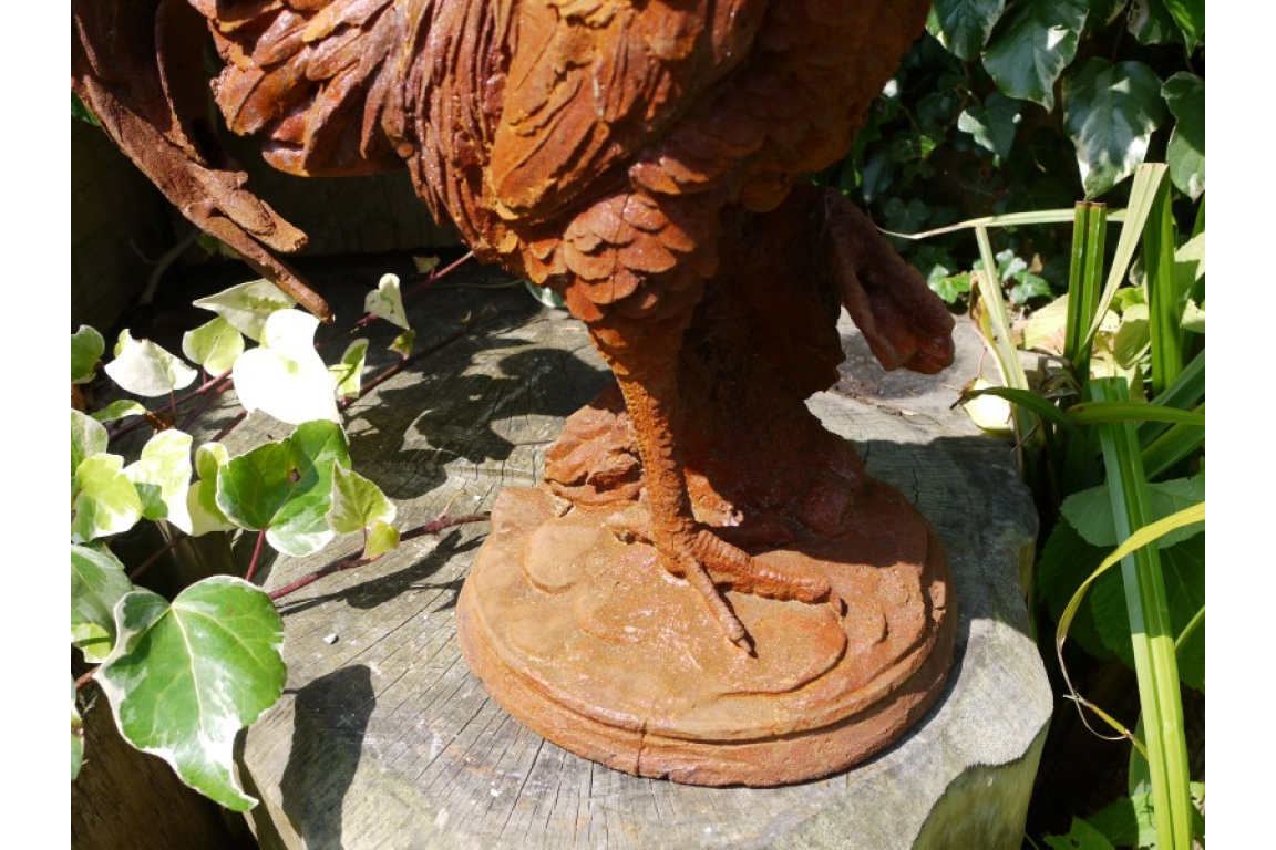 Cockerel (LG/Rusty) 2821