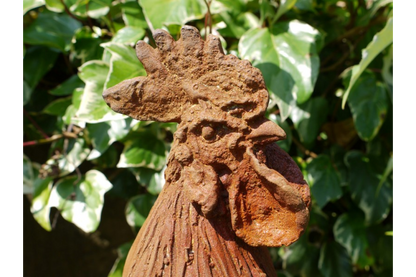 Cockerel (LG/Rusty) 2821