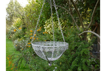 Hanging Basket