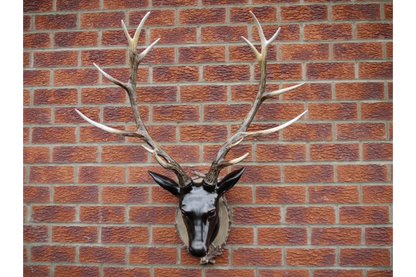 Stag Head - Large