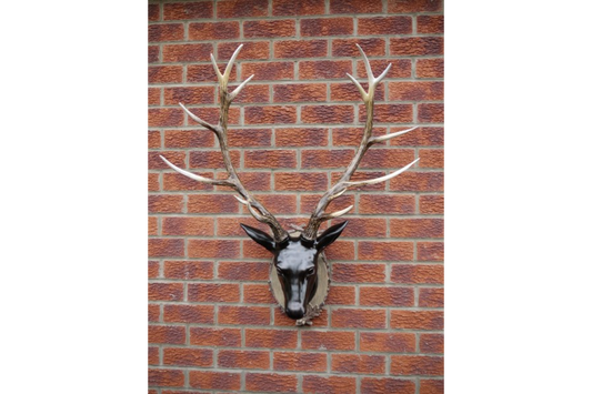 Stag Head - Large