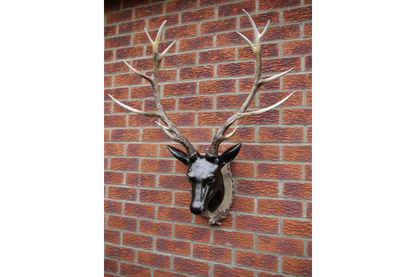 Stag Head - Large