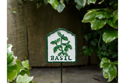 Herb Sign (Basil)