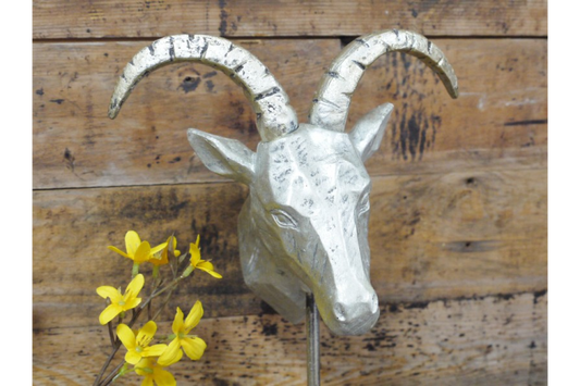 Gazelle Head