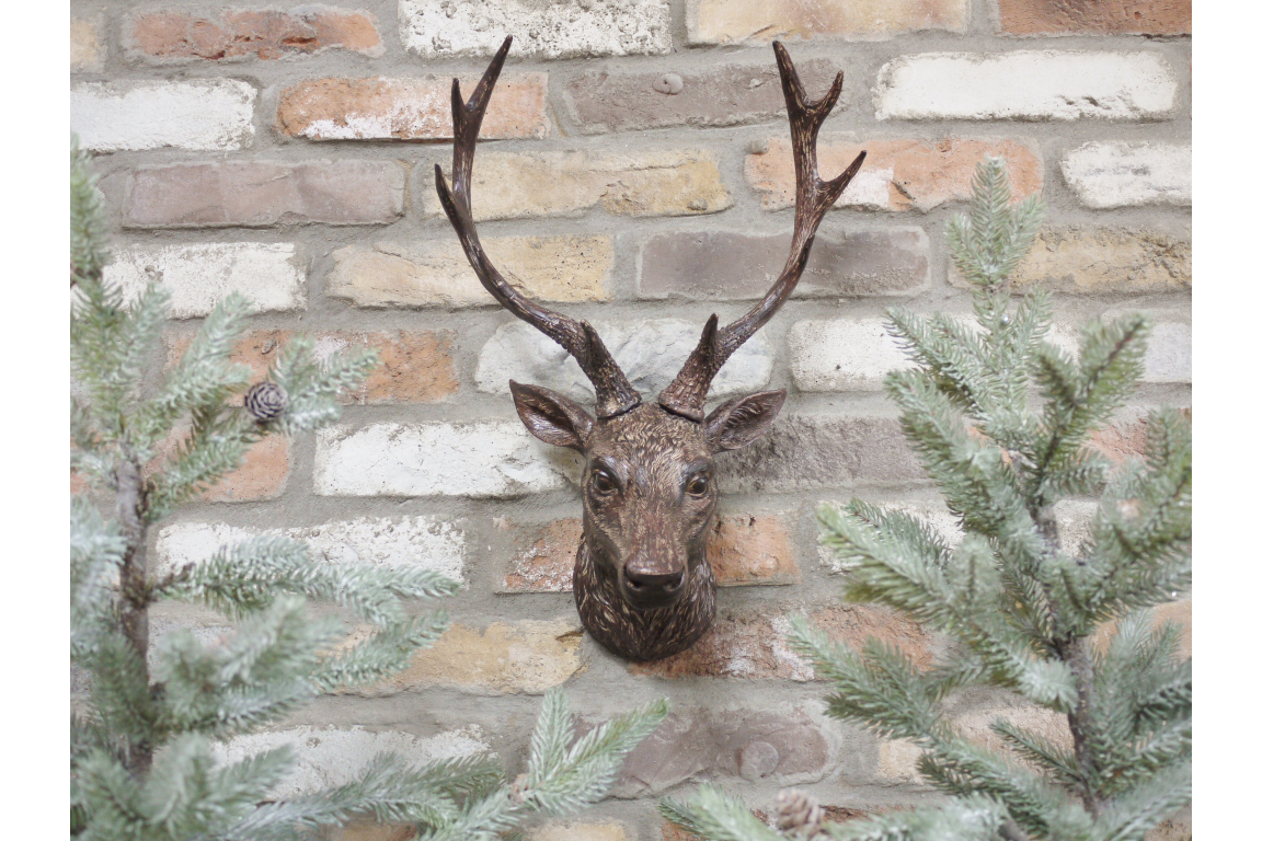 Stag Head