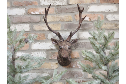 Stag Head