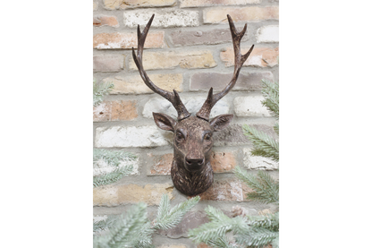 Stag Head