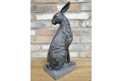 Hare