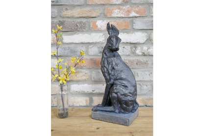 Hare
