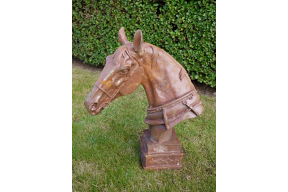 Horse Head