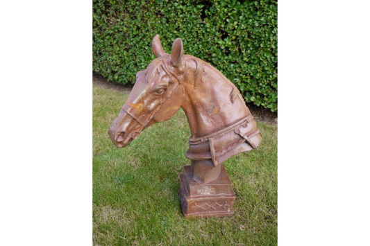 Horse Head