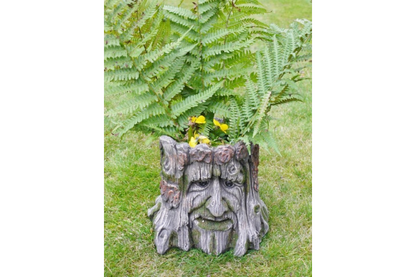 Tree Stump Planter