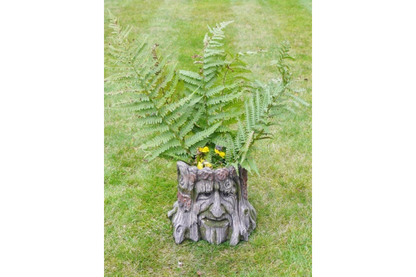 Tree Stump Planter