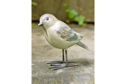 Birds