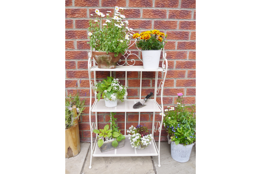 3 Tier Shelf