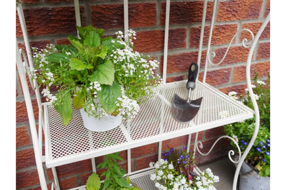 3 Tier Shelf