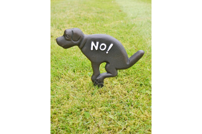 No Fouling