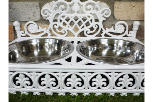 Dog Dish