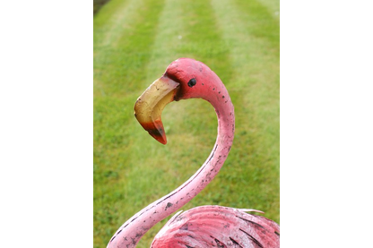 Flamingo - Large