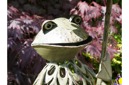 Frog Bird Feeder