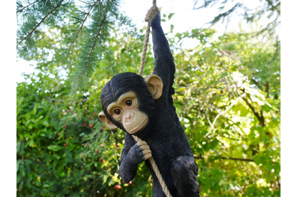 Climbing Monkey