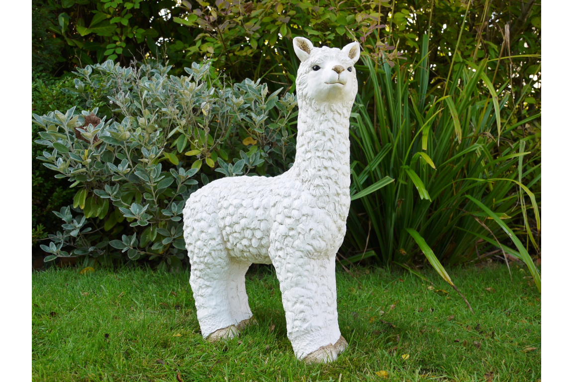 Llama (White)