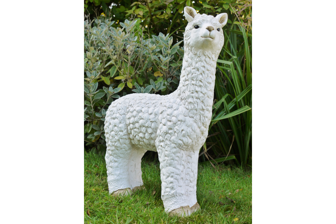 Llama (White)