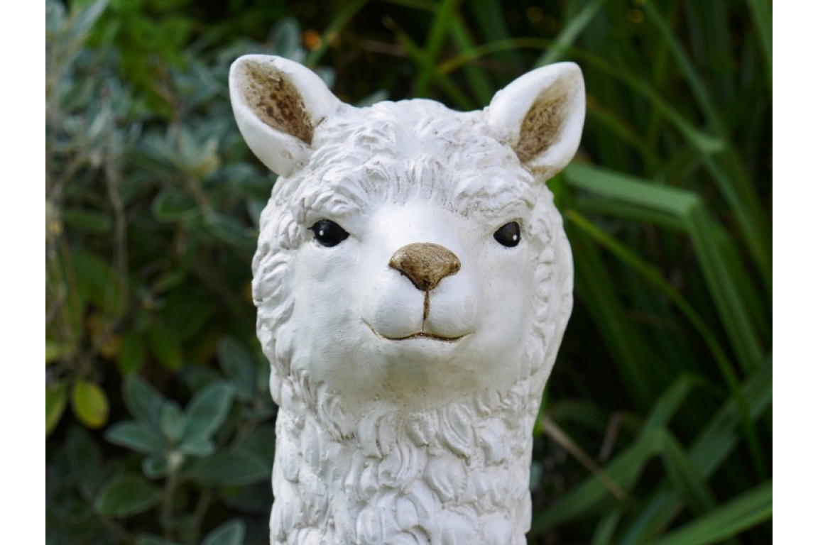 Llama (White)