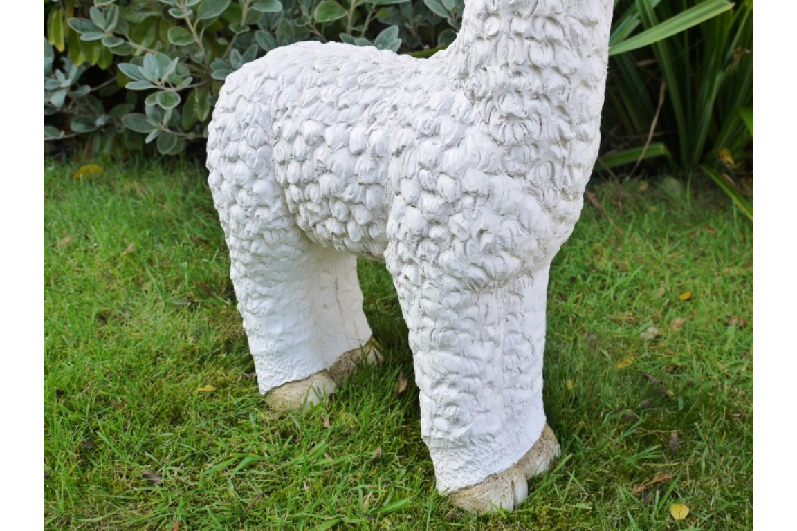 Llama (White)