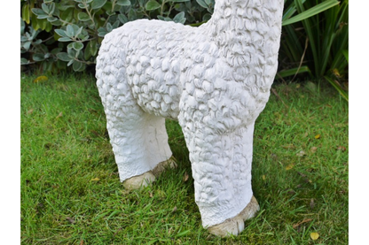 Llama (White)