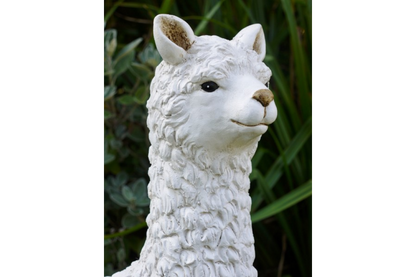 Llama (White)