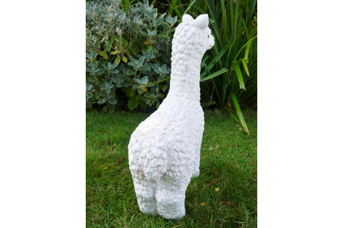 Llama (White)